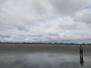 IMG_20200522_175058385.jpg