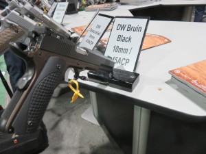 cz-6-300x225.jpg