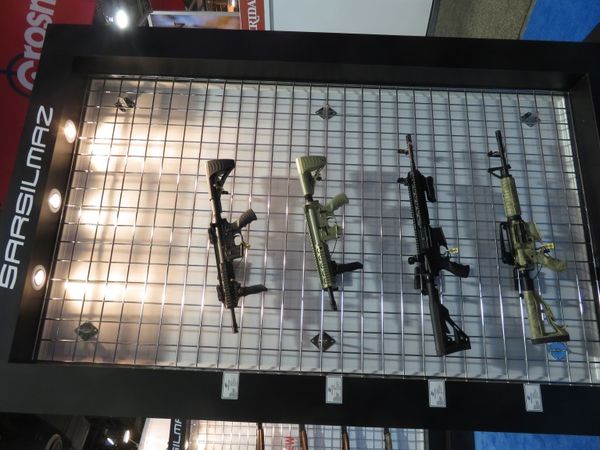 SAR-3-2-768x576.jpg