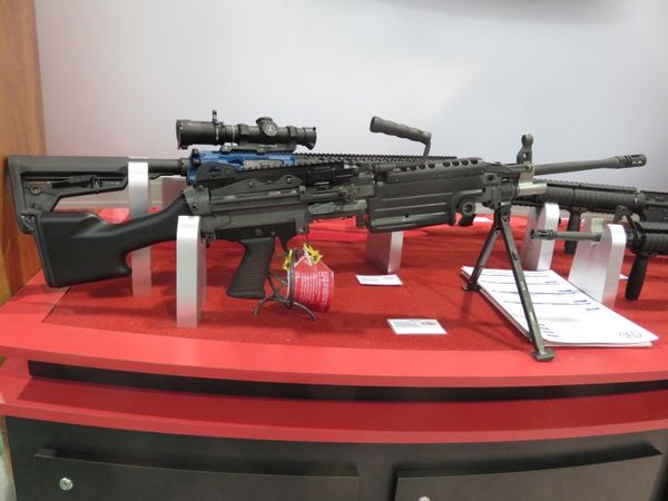 colt-2-768x576.jpg