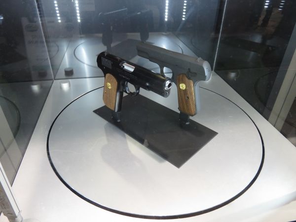 colt-4-768x576.jpg