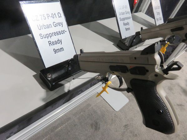 cz-11-1024x768.jpg