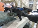 colt-1-1024x768.jpg
