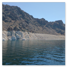 IMG_20210404_124041528_thumb.png