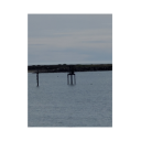 192706494_5537239869682181_3755289359968308609_n_thumb.png
