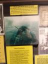 IMG_20200308_132251067.jpg