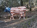 Filename=4301464149_6027809295_o.jpg
Filesize=62KiB
Dimensions=500x375
Date added=Jan 16, 2025 4301464149_6027809295_o.jpg