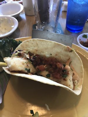 IMG_5003.jpeg