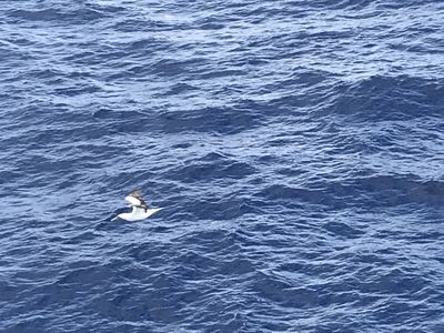 IMG_3696.jpeg