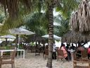 IMG_3672.jpeg