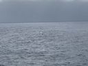 IMG_3694.jpeg