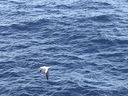 IMG_3695.jpeg