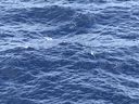 IMG_3699.jpeg