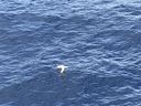 IMG_3700.jpeg