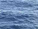 IMG_3702.jpeg