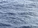 IMG_3705.jpeg
