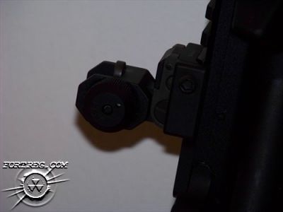 Close up of the GG&G spring actuated rear flip. It is a slick rear site.
