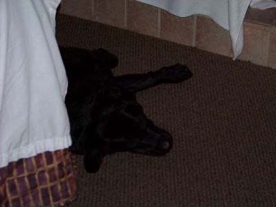 100_2068~2.JPG