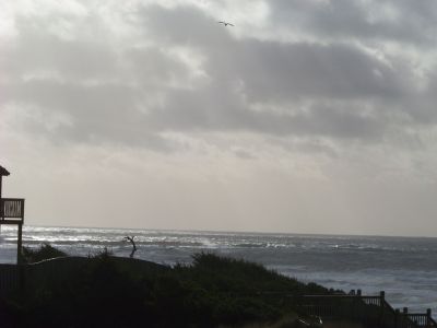 100_2071.JPG