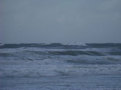 100_2077~0.JPG