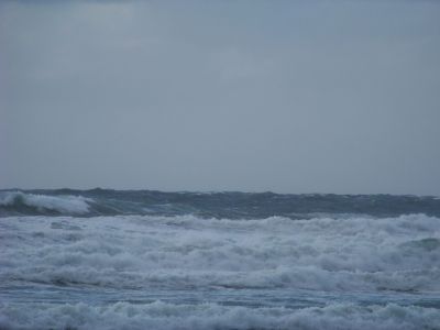 100_2079.JPG