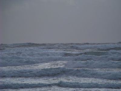 100_2081.JPG
