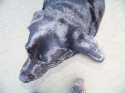 100_2099.JPG