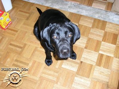 Picture_001.jpg