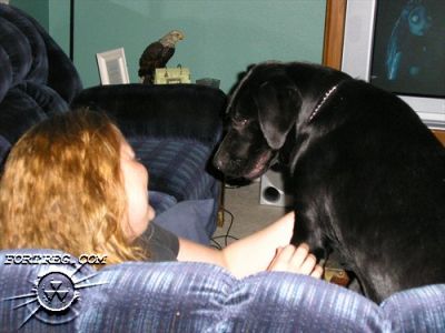 Picture_009.jpg