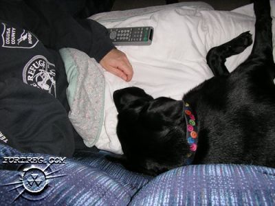 Picture_029.jpg