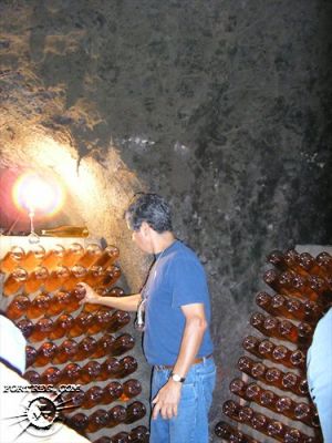 Picture_066.jpg