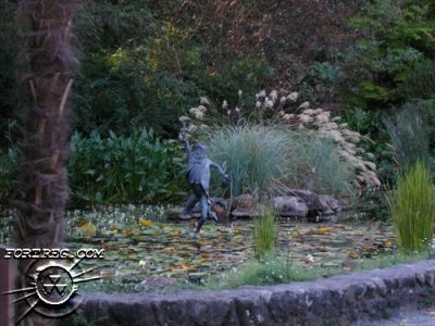 Picture_073.jpg