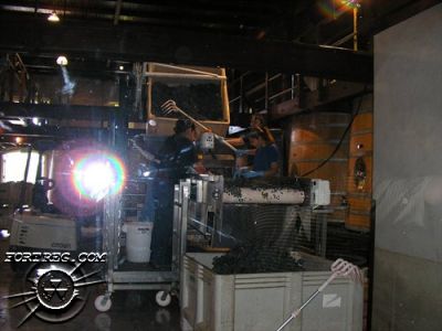 Picture_092.jpg
