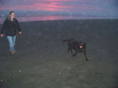 Picture_105~1.jpg