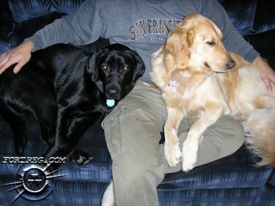 Picture_109.jpg