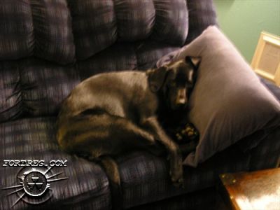 Picture_112.jpg