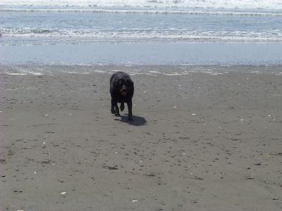 Picture_118.jpg