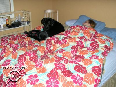 Picture_127.jpg