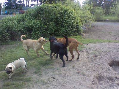 Picture_137~1.jpg