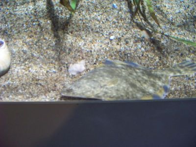 Picture_150~0.jpg