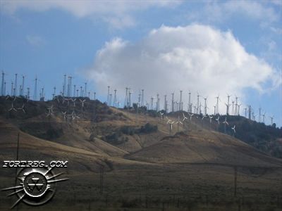 pa210066.jpg