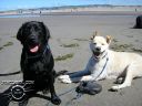 00125.jpg