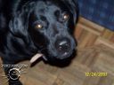100_0053.jpg