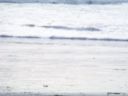 100_2080.JPG