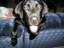 Picture_012.jpg