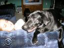 Picture_014.jpg