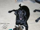 Picture_022.jpg