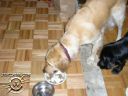 Picture_025.jpg
