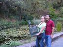 Filename=Picture_072.jpg
Filesize=85KiB
Dimensions=500x375
Date added=Jul 13, 2011 Picture_072.jpg
